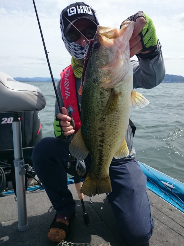 truth hiramura ブログ写真 2016/06/01