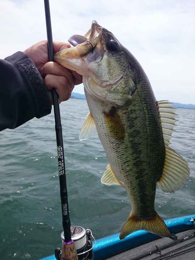 truth hiramura ブログ写真 2016/06/01