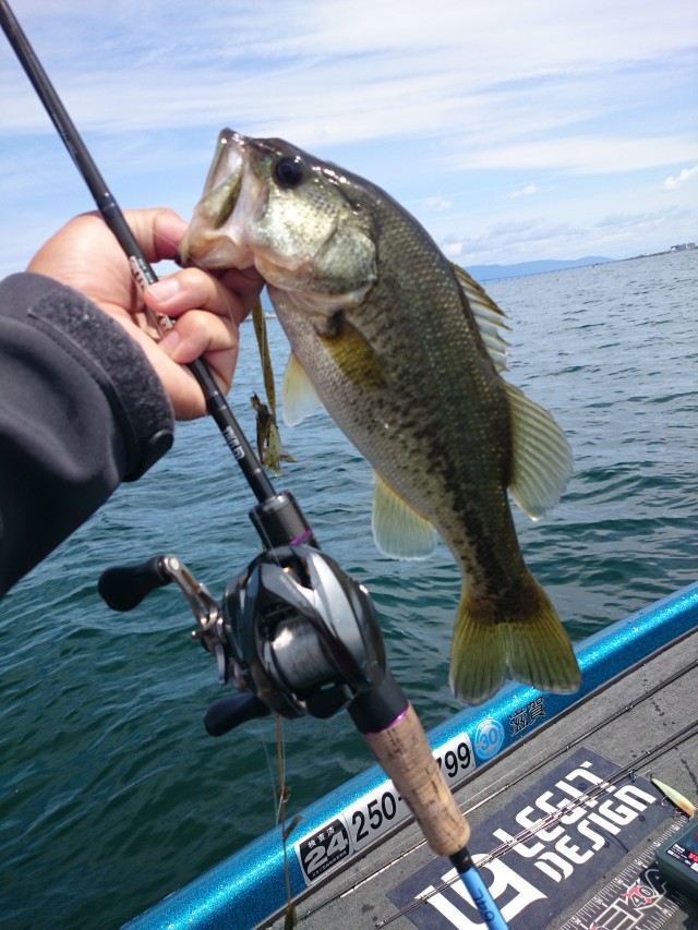 truth hiramura ブログ写真 2016/06/01