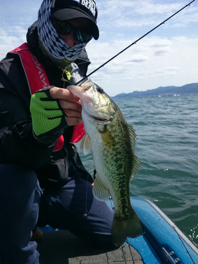 truth hiramura ブログ写真 2016/06/01