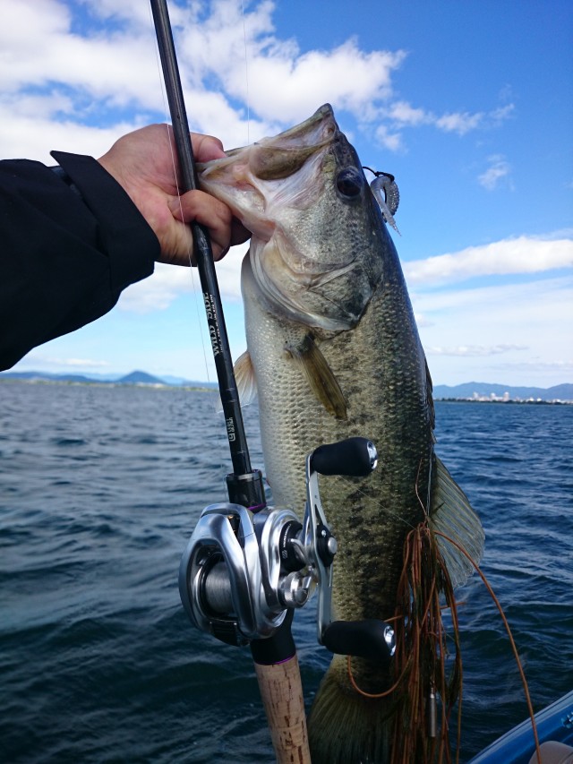 truth hiramura ブログ写真 2016/06/01