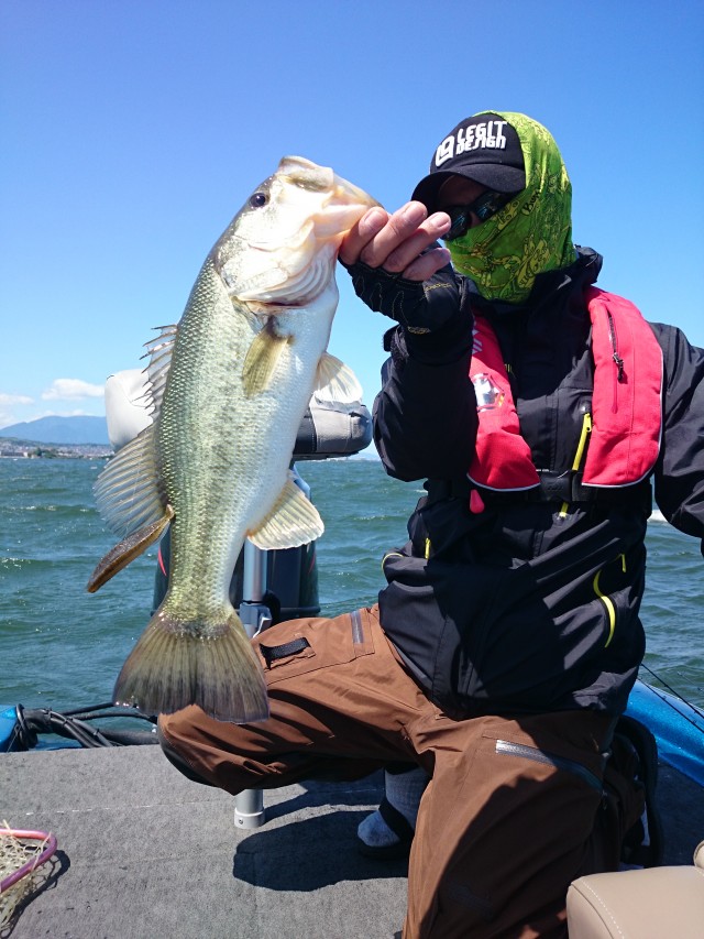 truth hiramura ブログ写真 2016/06/03