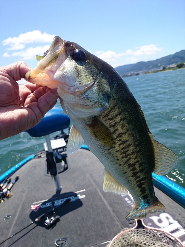 truth hiramura ブログ写真 2016/06/03