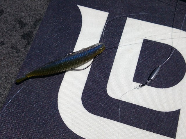 truth hiramura ブログ写真 2016/06/03