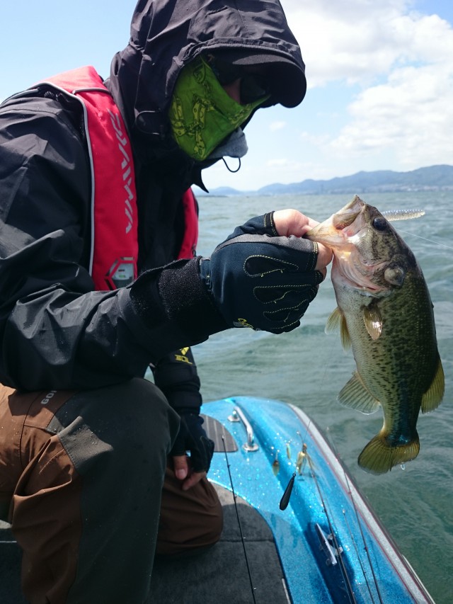 truth hiramura ブログ写真 2016/06/03