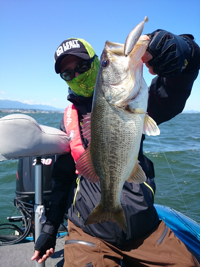 truth hiramura ブログ写真 2016/06/03