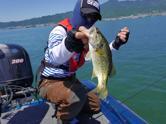 truth hiramura ブログ写真 2016/06/04