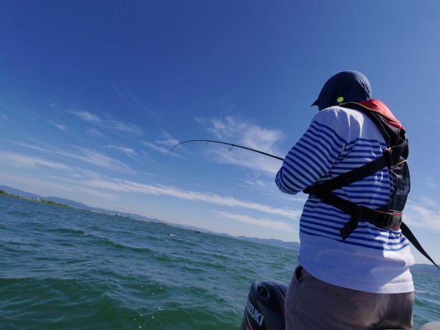 truth hiramura ブログ写真 2016/06/04