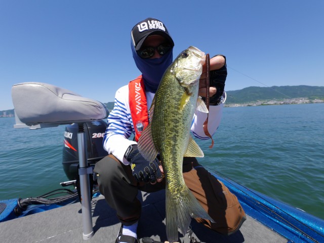 truth hiramura ブログ写真 2016/06/04