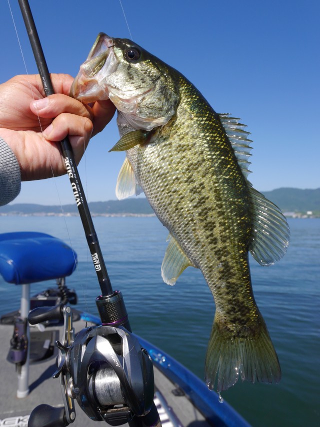 truth hiramura ブログ写真 2016/06/04