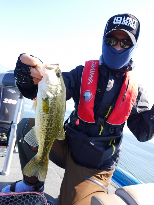 truth hiramura ブログ写真 2016/06/04