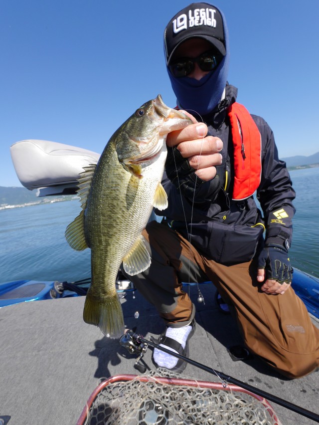 truth hiramura ブログ写真 2016/06/04