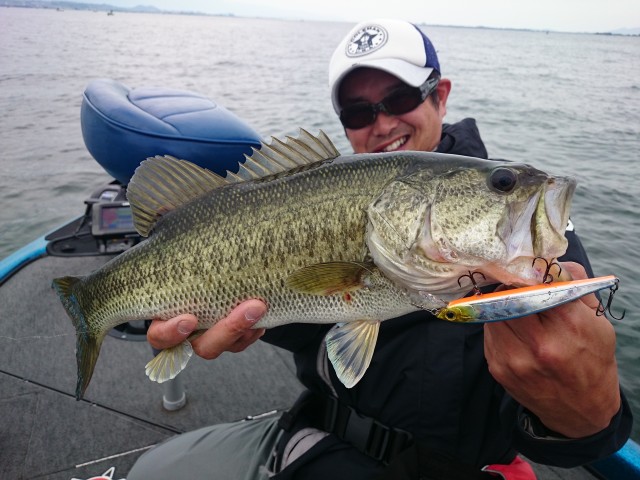 truth hiramura ブログ写真 2016/06/04