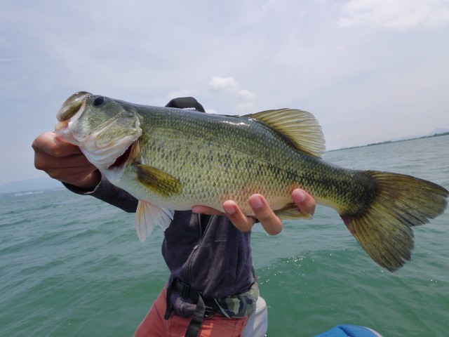 truth hiramura ブログ写真 2016/06/06