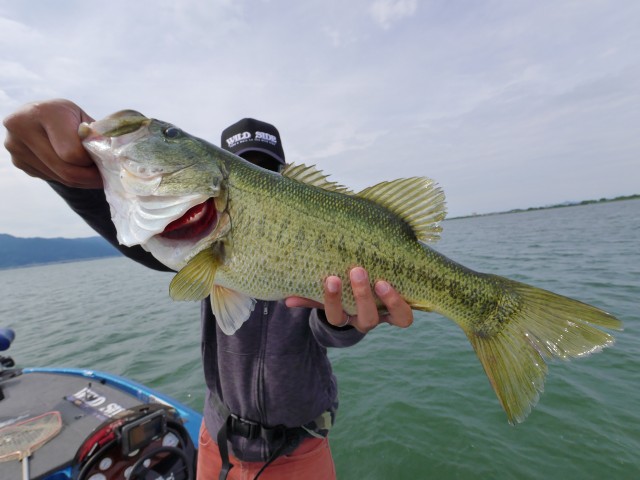 truth hiramura ブログ写真 2016/06/06