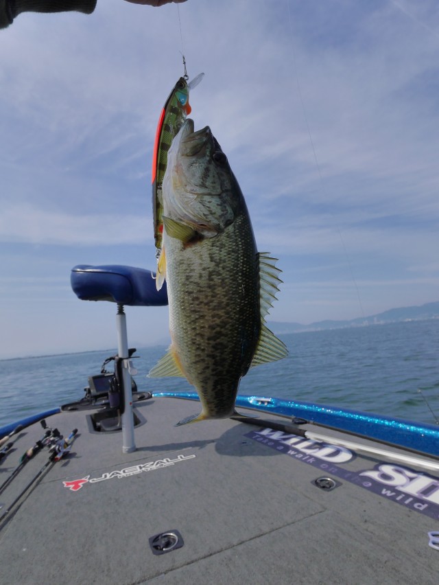 truth hiramura ブログ写真 2016/06/06