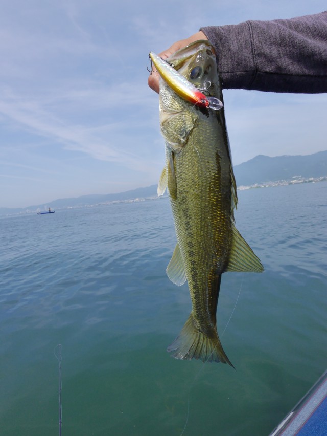 truth hiramura ブログ写真 2016/06/06