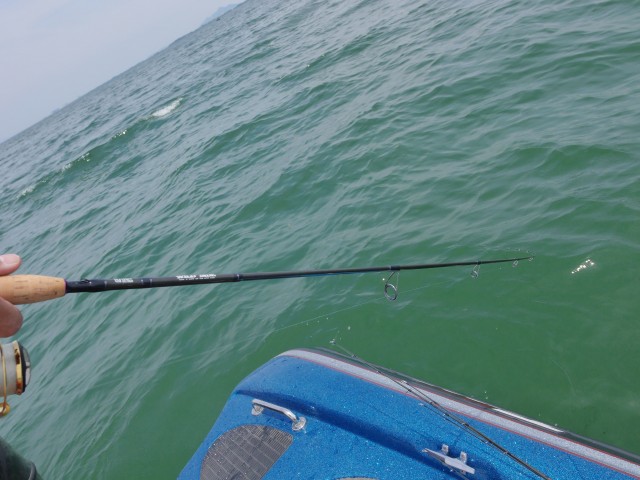 truth hiramura ブログ写真 2016/06/06