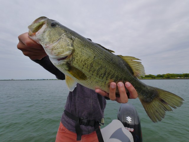 truth hiramura ブログ写真 2016/06/06