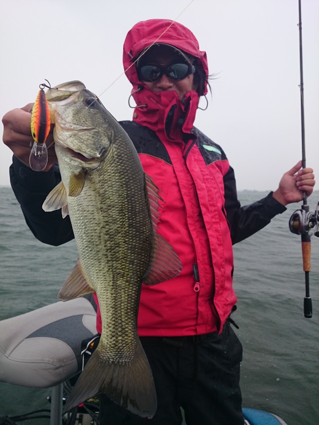 truth hiramura ブログ写真 2016/06/08