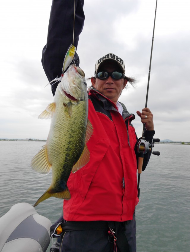 truth hiramura ブログ写真 2016/06/08