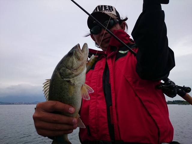 truth hiramura ブログ写真 2016/06/08