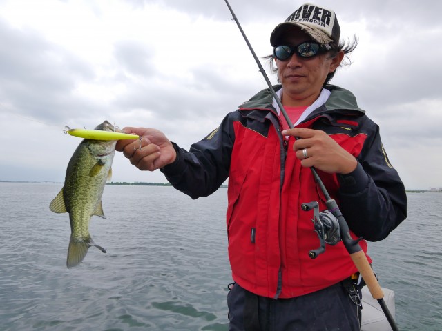 truth hiramura ブログ写真 2016/06/08