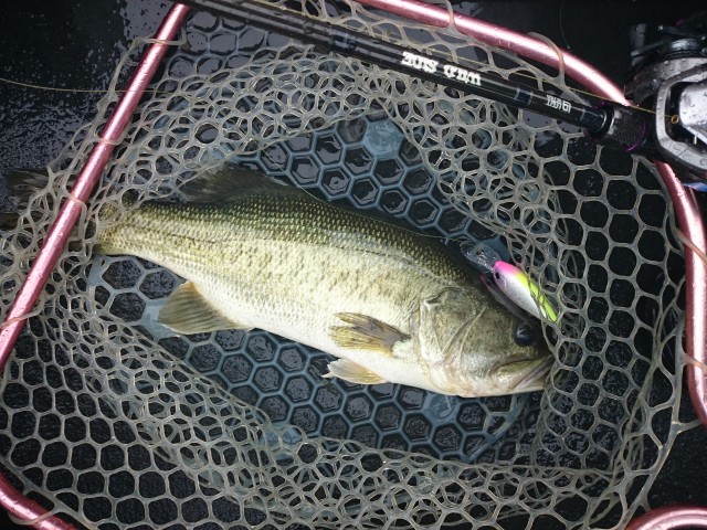 truth hiramura ブログ写真 2016/06/08