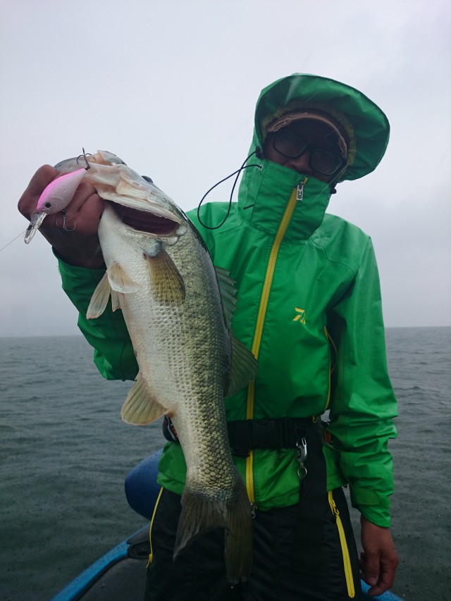 truth hiramura ブログ写真 2016/06/08