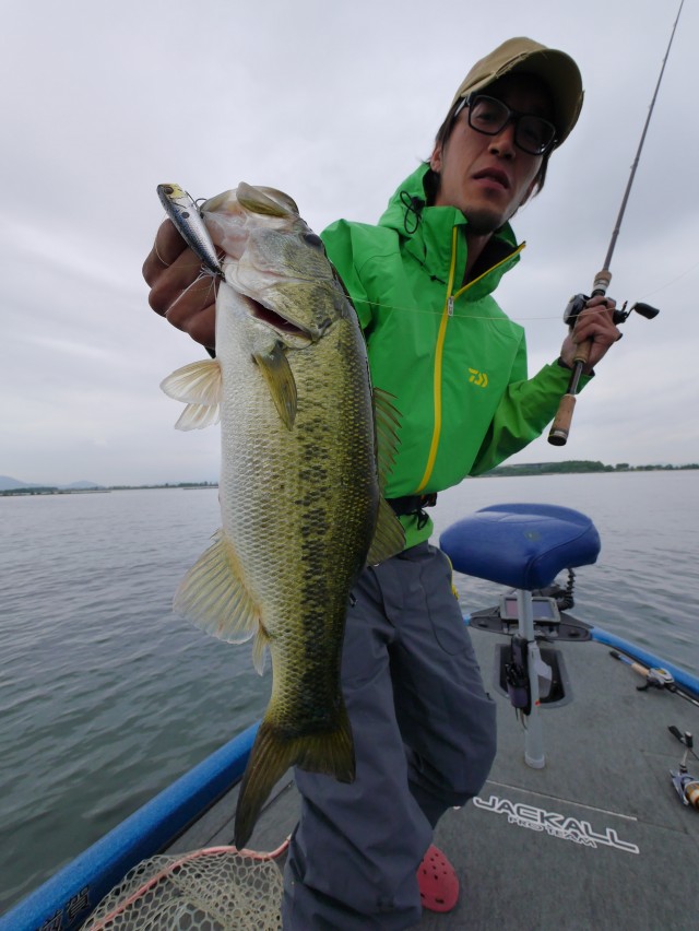 truth hiramura ブログ写真 2016/06/08