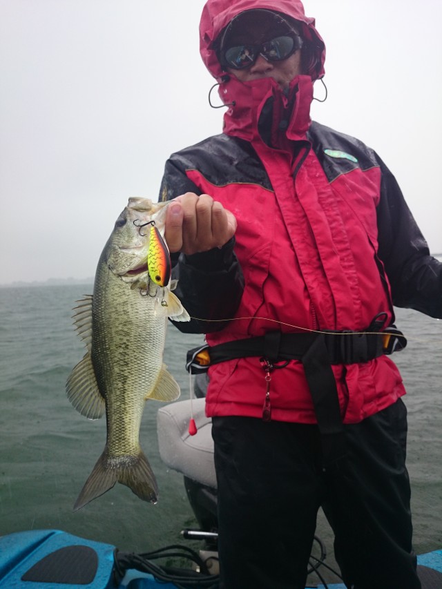 truth hiramura ブログ写真 2016/06/08