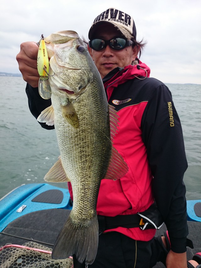 truth hiramura ブログ写真 2016/06/08