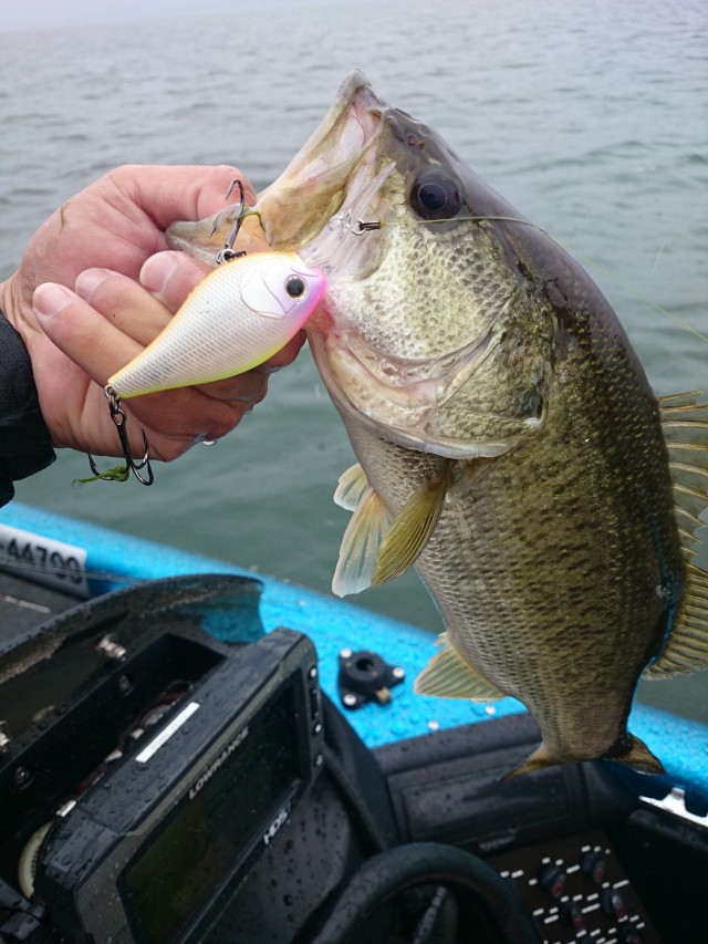 truth hiramura ブログ写真 2016/06/08