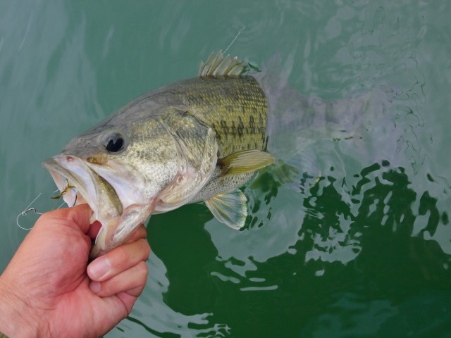 truth hiramura ブログ写真 2016/06/09