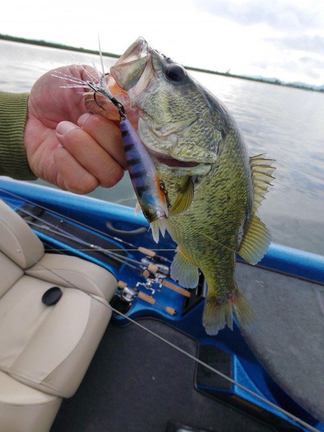 truth hiramura ブログ写真 2016/06/09