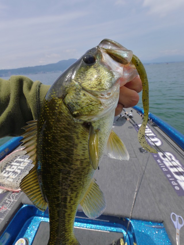 truth hiramura ブログ写真 2016/06/09