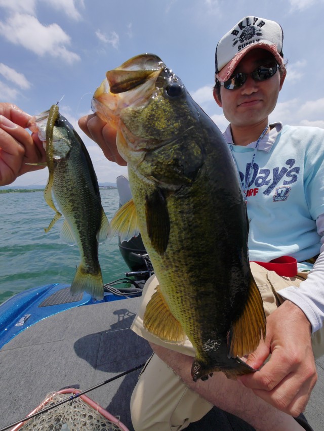 truth hiramura ブログ写真 2016/06/09