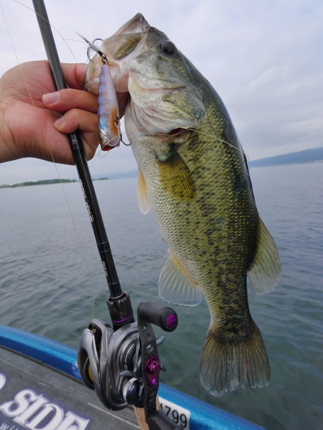 truth hiramura ブログ写真 2016/06/09