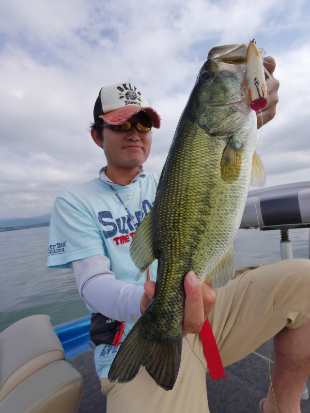 truth hiramura ブログ写真 2016/06/09