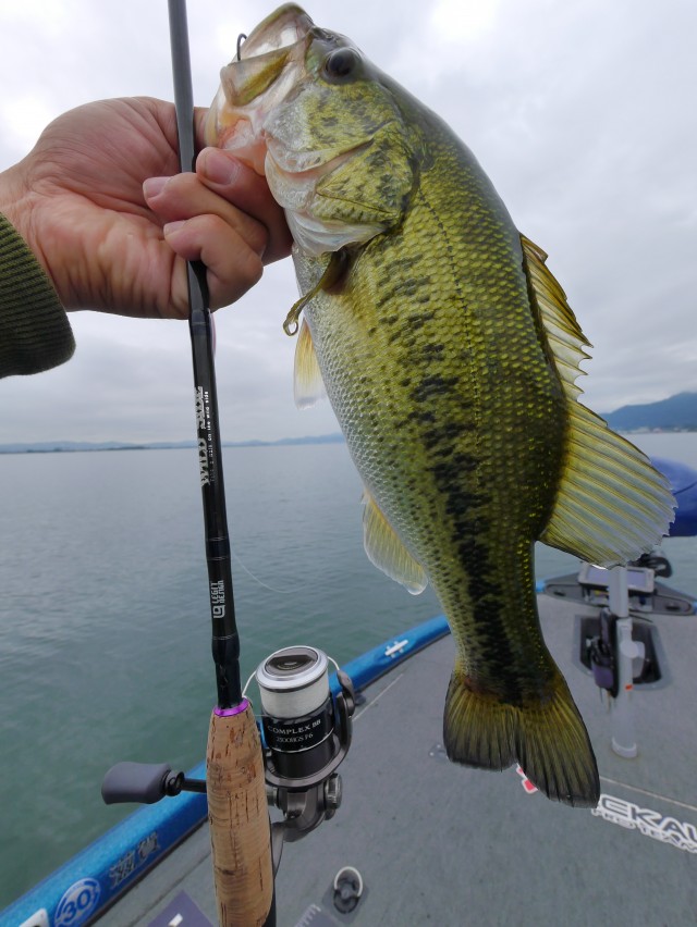 truth hiramura ブログ写真 2016/06/10