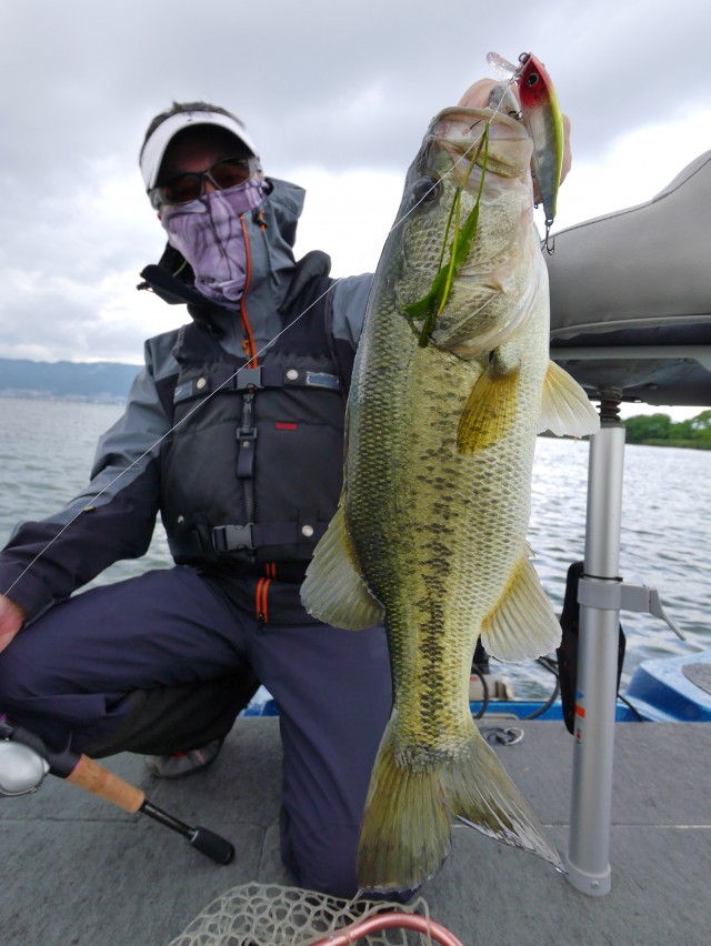 truth hiramura ブログ写真 2016/06/10