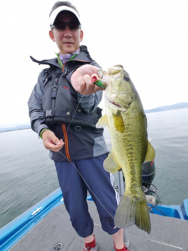 truth hiramura ブログ写真 2016/06/10