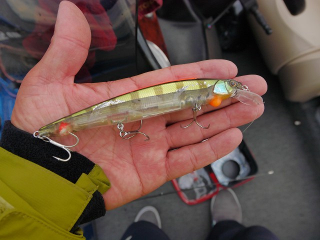 truth hiramura ブログ写真 2016/06/10