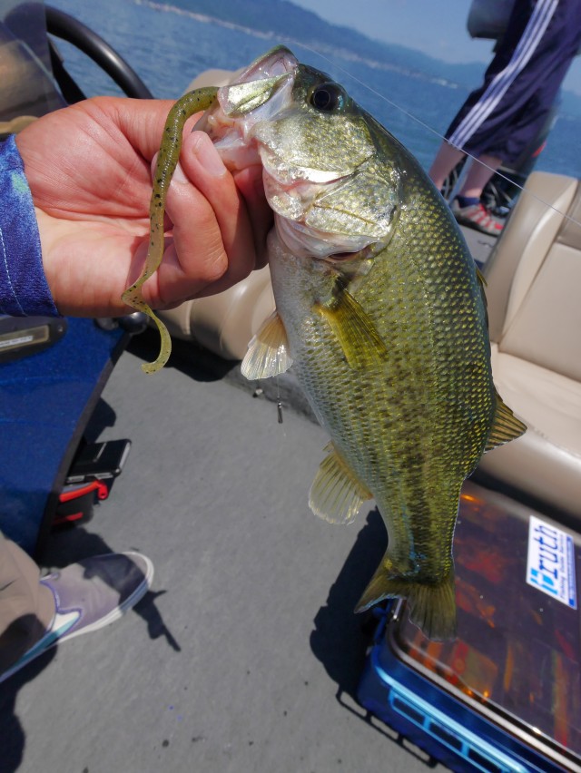 truth hiramura ブログ写真 2016/06/10