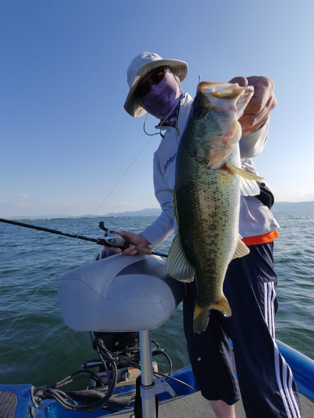 truth hiramura ブログ写真 2016/06/10