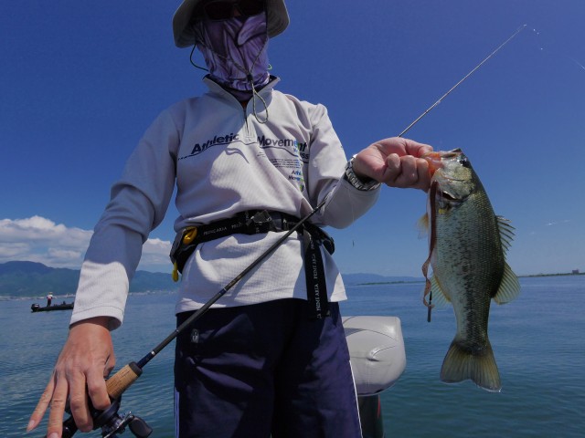 truth hiramura ブログ写真 2016/06/10