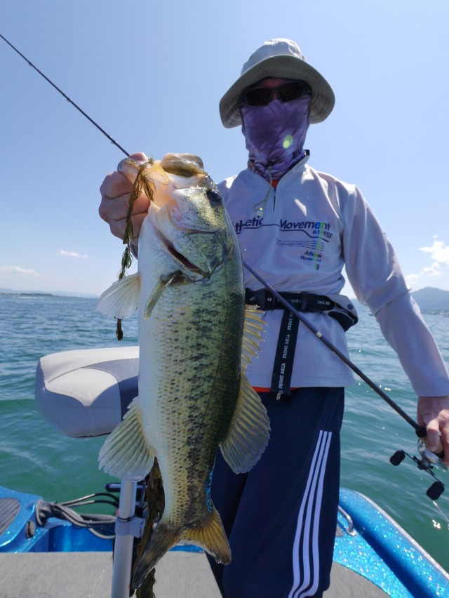 truth hiramura ブログ写真 2016/06/10