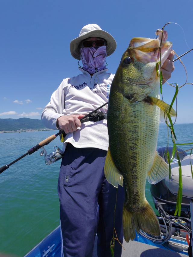 truth hiramura ブログ写真 2016/06/10