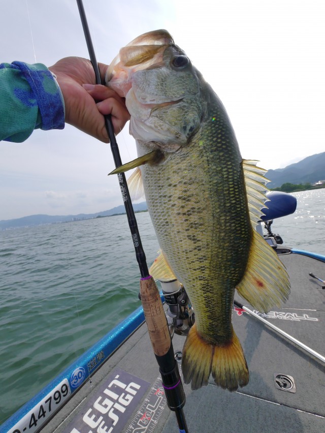 truth hiramura ブログ写真 2016/06/11