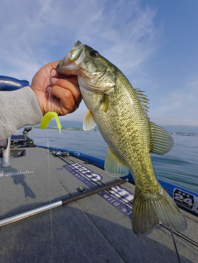 truth hiramura ブログ写真 2016/06/11